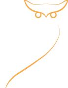 owl-white